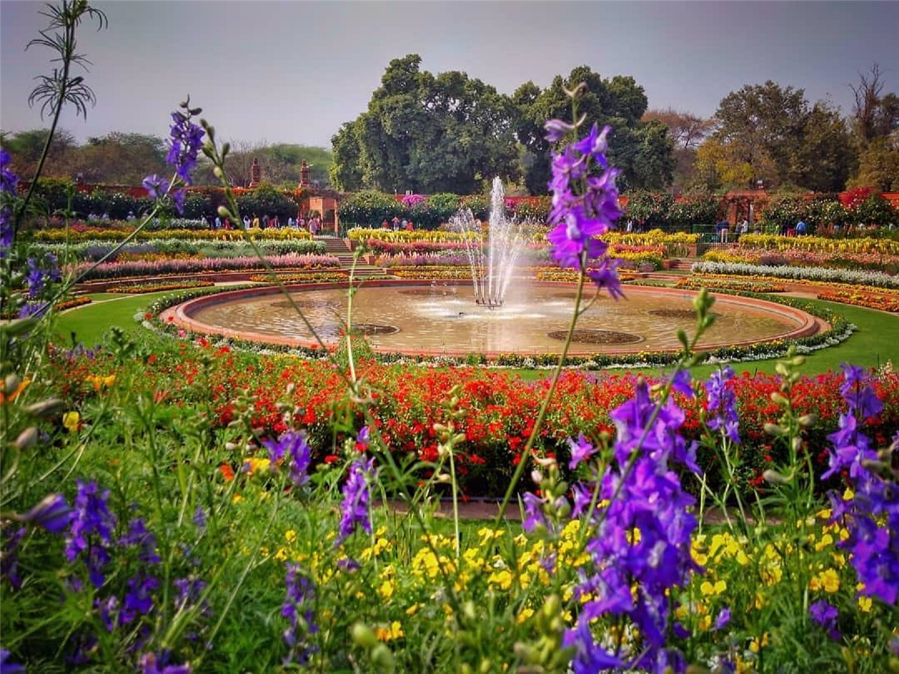 Majestic Beauty Of Rashtrapati Bhavan: Mughal Garden, Delhi